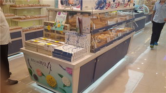 成都四川中島柜廠家在西藏蛋糕店與保健食品領域的應用與優(yōu)勢